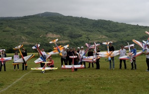 PHOTOS : Concours F3A du 10 juin 2016