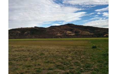 PHOTOS : Christian et Guy, heureux retraités, profitent des 16° annoncés au terrain en ce 1er février