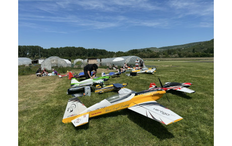 Une journée VGM et gros modèles réussie